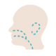 ORL et cervico facial