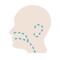 ORL et cervico facial